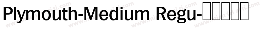 Plymouth-Medium Regu字体转换